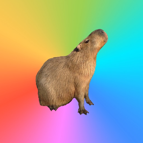 Capybara Sticker Pack