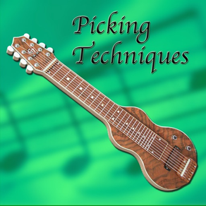 Lap Steel Guitar Picking Techniques