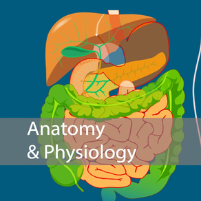 Nursing Anatomy and Physiology