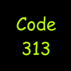 Code313