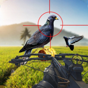 Spy Pigeon Bowhunting 3D