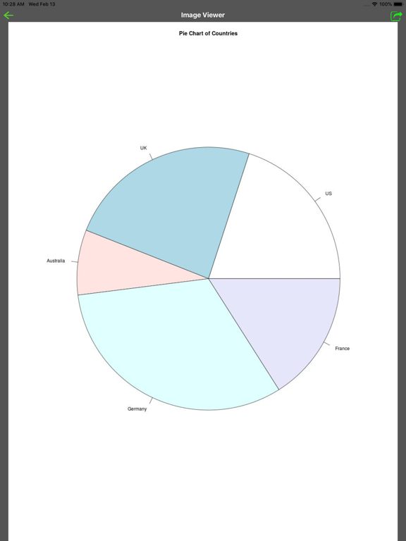 R Programming Compiler poster