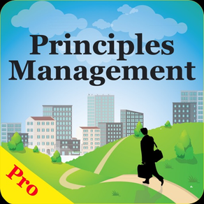 MBA Principles Management