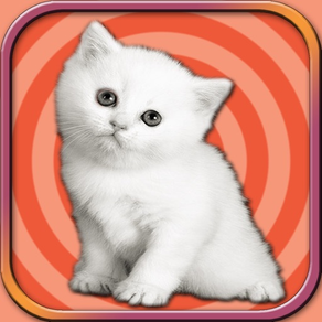 Adorable gatito Run - Juego de simulación de masco