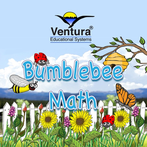 Bumblebee Math