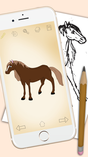 Comment dessiner les chevaux