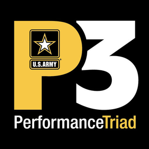 Performance Triad (P3)