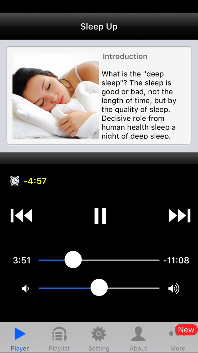 BestSleep poster