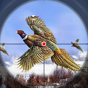 Fachada Bird Hunting 3d