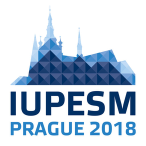 IUPESM 2018