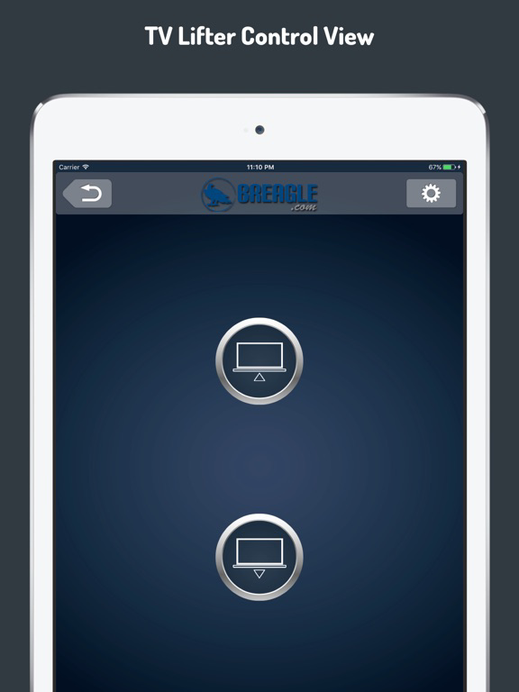Breagle Control poster