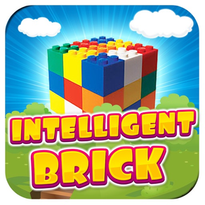 Intelligent Brick