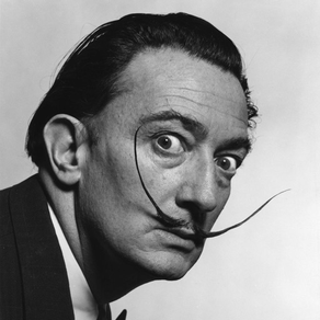Salvador Dalí 51 Werke ( HD 50M+)