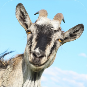 3D Goat Rettungs Runner Simulator Spiel für Jungen und Kinder KOSTENLOS