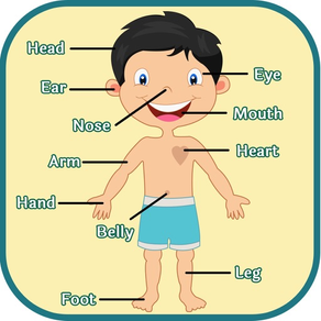 Learning Human Body Parts - Baby Learning Body Parts