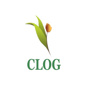 Clog