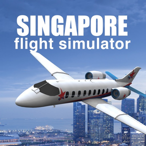 Singapore Flight Simulator