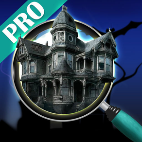 Hidden object: the silent town pro