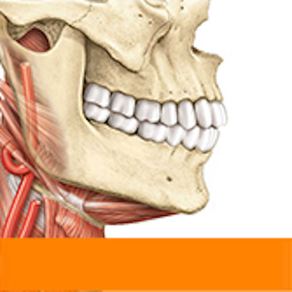 Sobotta Anatomy Atlas