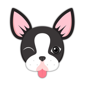 Boston Bull Terrier Keyboard