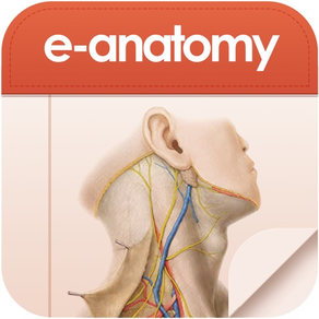 E-Anatomy