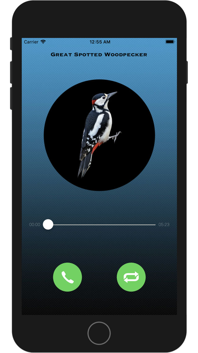 Bird Calling poster