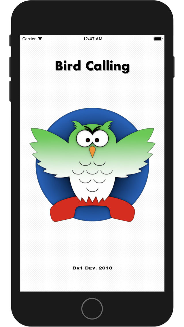 Bird Calling poster