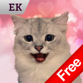 Cat Keyemoji Free-Kitty Sticker Gif Video Emoji