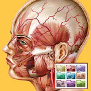 Atlante di Anatomia-Sezioni