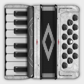 Accordion Piano: Learn to Play