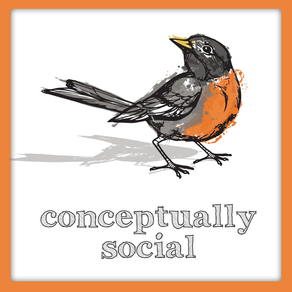 Conceptually Social