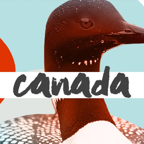Travel Canada's National Birds