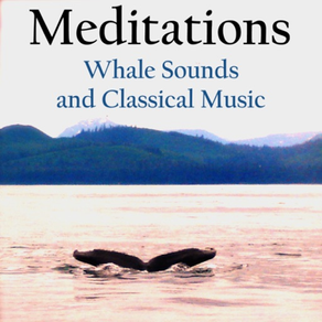 Meditations - Whales and Music