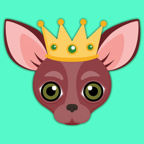 Animated Red Chihuahua