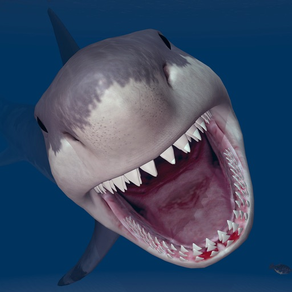鲨 屠杀 - 水手 潜水员 袭击