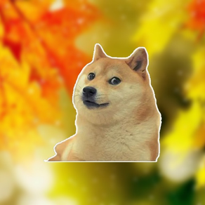 Doge Memes face pack autocollants pour iMessage