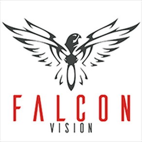 Falcon Vision