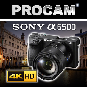 PROCAM for Sony a6500