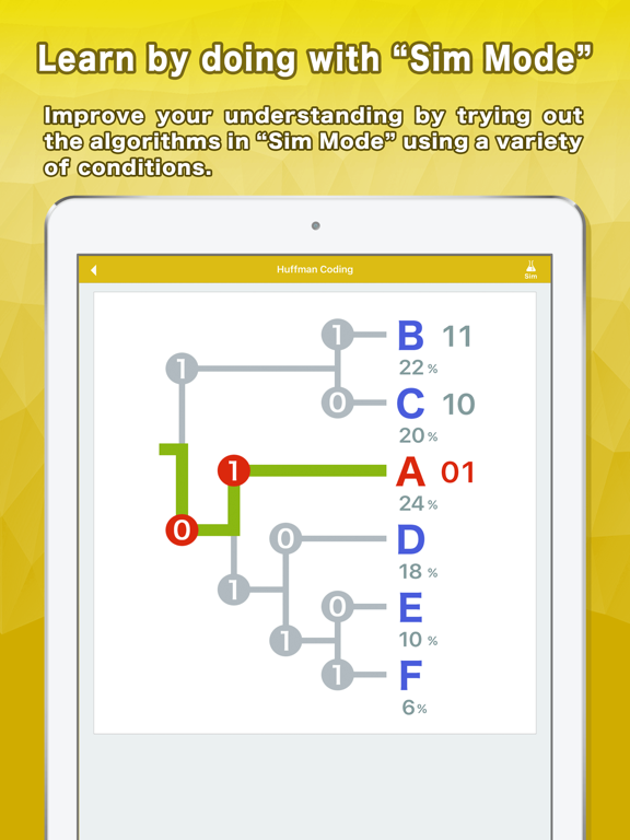 Algorithms: Explained&Animated poster