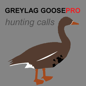 REAL Greylag Goose Hunting Calls & Greylag Goose CALLS & Greylag Goose Sounds! - BLUETOOTH COMPATIBLE