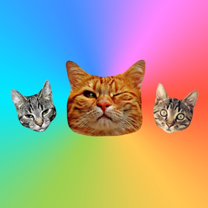 Gato Adesivos - Cat Stickers