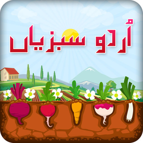 Urdu Qaida Vegetable Learning Urdu - Kids Educational Book