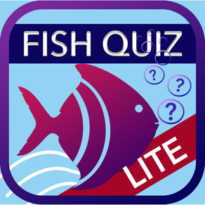 Fish Quiz 2020 Lite