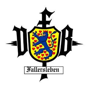 VfB Fallersleben Handball
