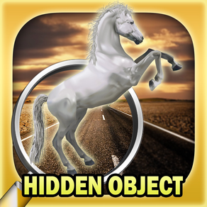 Hidden object: Mysterious traveler