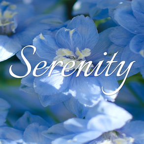 Serenity - Explore Life Within