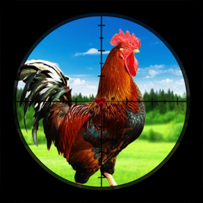 Chicken Hunt Sniper shooting