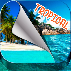 Île tropicale fonds d'écran – Belle plage d'été et palmiers photos