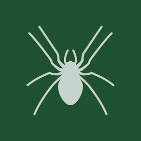 Solitaire / Spider