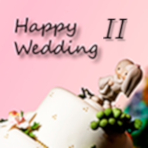 Happy Wedding II